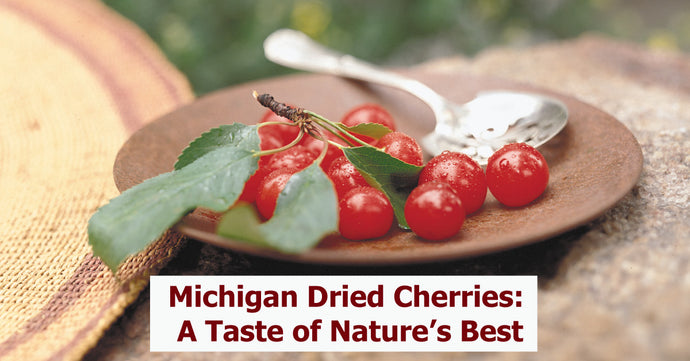 Michigan Dried Cherries: A Taste of Nature’s Best