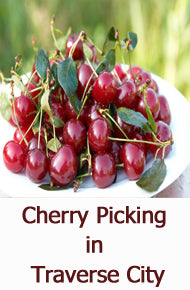 Cherry Picking in Traverse City