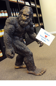 We got a photo of the Legendary Bigfoot