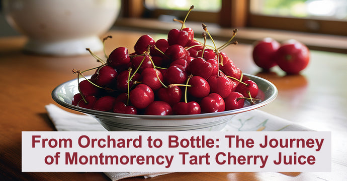 From Blossom to Bottle: The Intricate Journey of Montmorency Tart Cherry Juice Concentrate