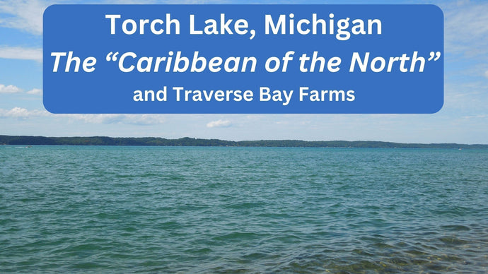 Antrim County - Chain of Lakes Water Trail