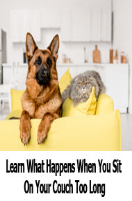 Discover Happens to Your Body When You Sit on the Couch Too Long
