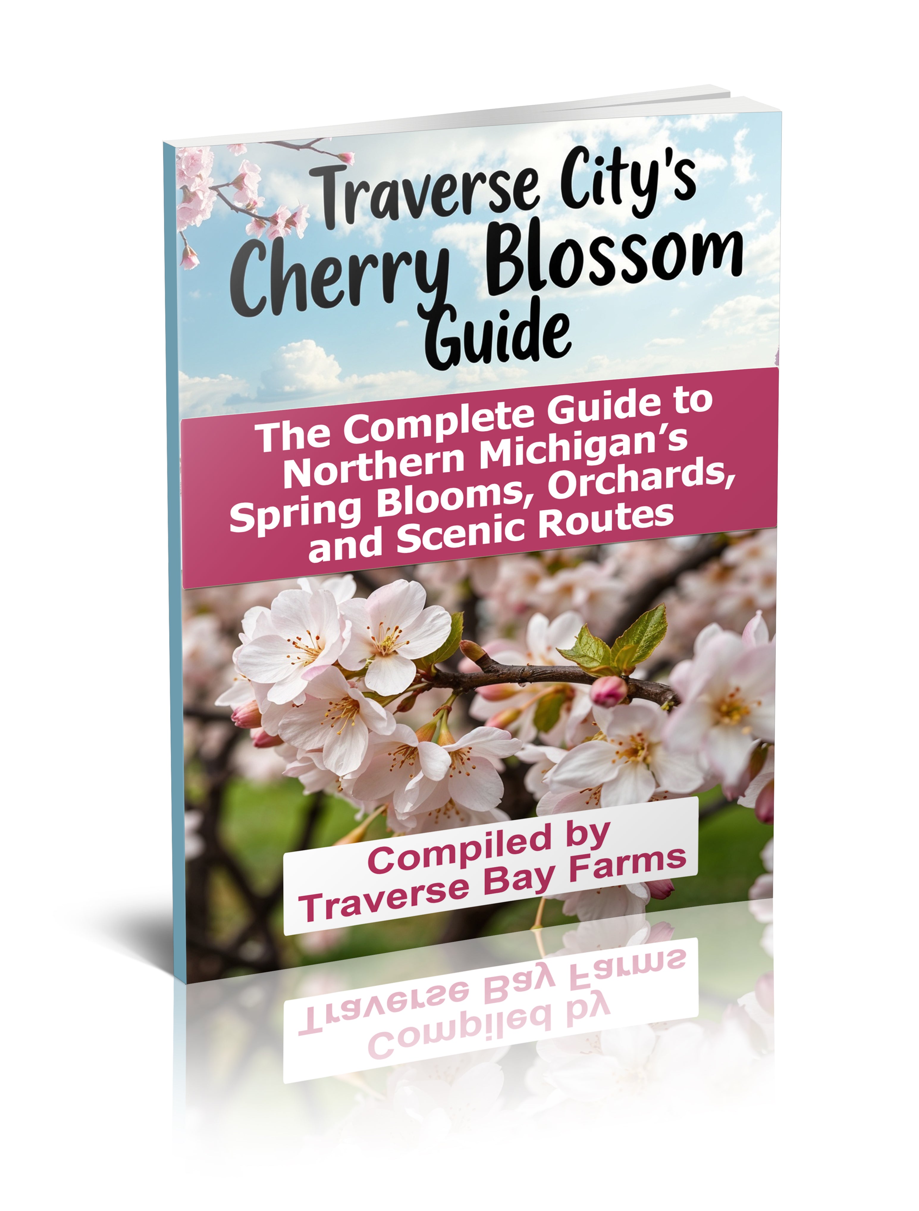 Northern Michigan Cherry Blossom Guide Main image