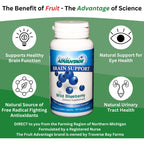 Wild Blueberry Brain Support - Traverse Bay Farms