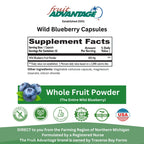 Wild Blueberry Brain Support - Traverse Bay Farms