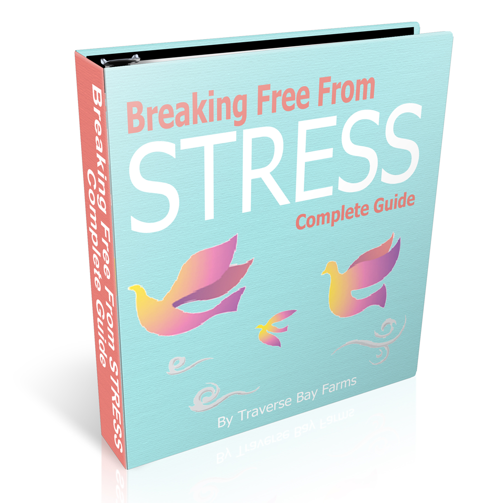 Breaking Free From Stress Complete Guide - Free Download - traversebayfarms Main image