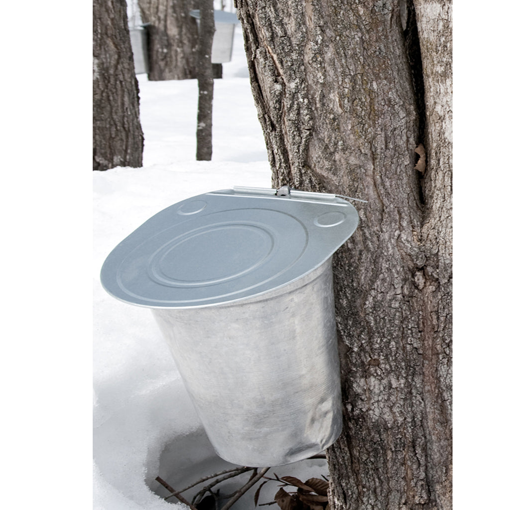 100% Pure Michigan Maple Syrup - 2 Pack of 8 Fl. Oz. Bottles - traversebayfarms