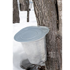 1 bottle of 100% Pure Michigan Maple Syrup - 8Fl. Oz. Bottles - traversebayfarms