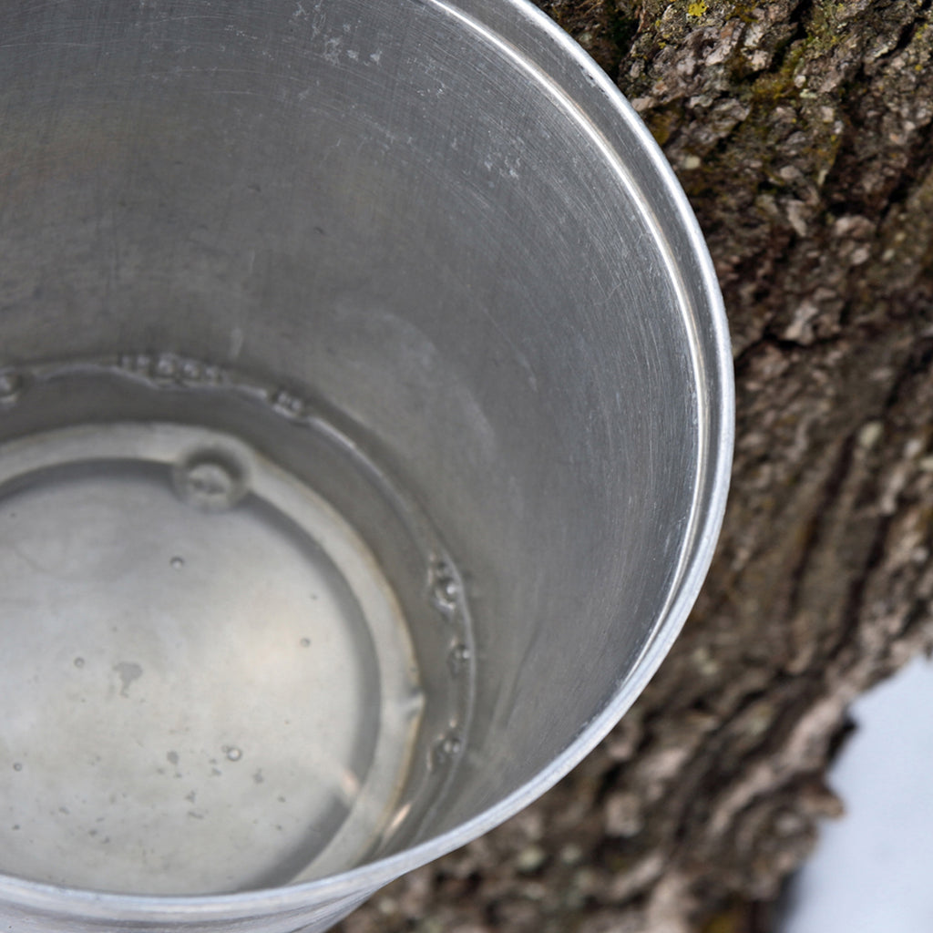 1 bottle of 100% Pure Michigan Maple Syrup - 8Fl. Oz. Bottles - traversebayfarms