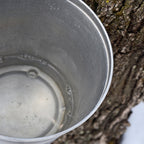 1 bottle of 100% Pure Michigan Maple Syrup - 8Fl. Oz. Bottles - traversebayfarms